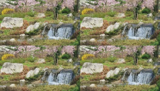 春天的日本花园高清在线视频素材下载