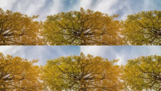 4K延时:立川花园东京日本美丽的天空，苹果ProRes 422 (HQ) 3840x2160格式高清在线视频素材下载