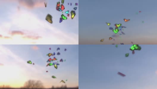 色彩斑斓的蝴蝶飞高清在线视频素材下载