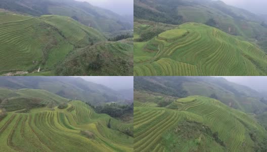 High-altitude aerial Rice paddy, Longsheng.Guilin,China高清在线视频素材下载