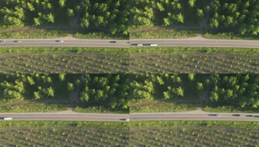 俯视图空中拍摄的许多汽车在道路上通过落叶林，无人机hoovering直接上方高清在线视频素材下载