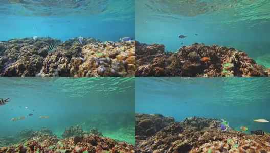 塞舌尔拉迪格岛的POV浮潜高清在线视频素材下载