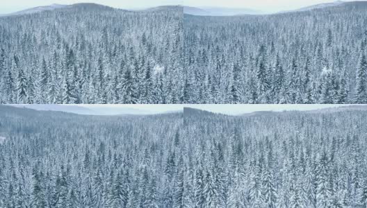 航拍一大片冰雪覆盖的森林景观高清在线视频素材下载