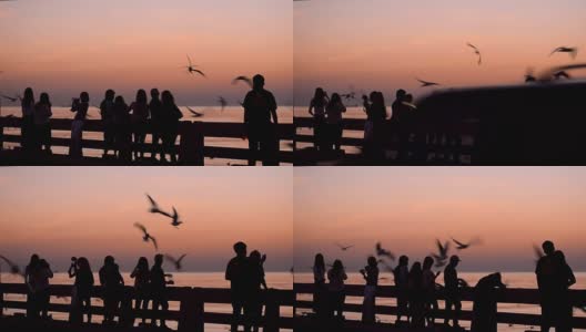 剪影:夕阳下的人群和海鸥群高清在线视频素材下载