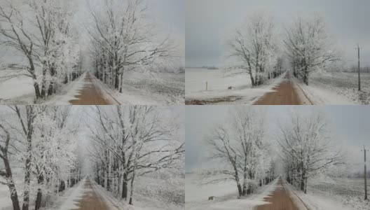 橡树在霜冻的巷子里。冬天乡间的土路。阴天戏剧性的多云天空。积雪覆盖的田野景观。寒冷的天气。白俄罗斯高清在线视频素材下载