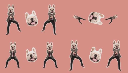 4K最小动画运动设计。跳舞的男人脸上有张搞笑的狗脸。流行和舞蹈的气氛。商人在定格运动，2D，现代，概念，当代波普艺术拼贴。聚会、商务、概念高清在线视频素材下载