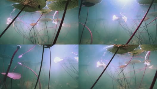 超现实的水下景观高清在线视频素材下载
