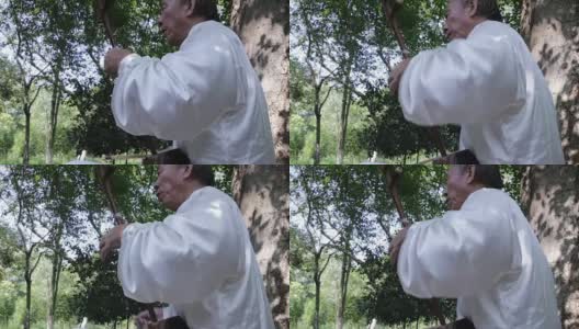 老人在公园里演奏中国传统的二胡高清在线视频素材下载