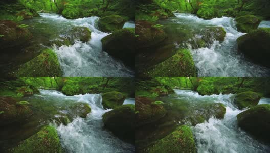 绿林溪流高清在线视频素材下载