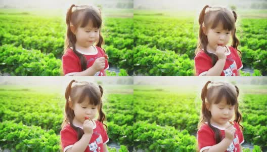 小女孩摘草莓吃高清在线视频素材下载