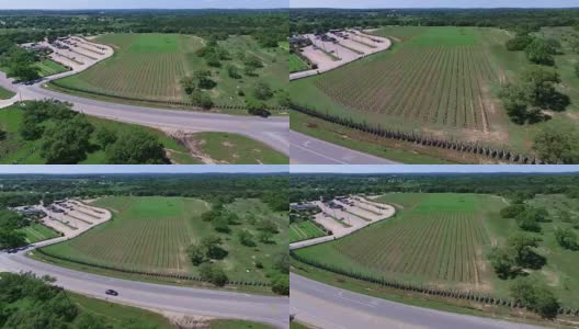 非常高的角度俯瞰作物，航空葡萄酒市场或农场市场在奥斯汀德克萨斯州高清在线视频素材下载