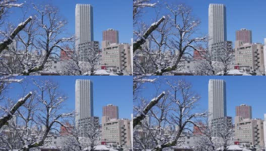 雪和美丽的蓝天在东京的城市高清在线视频素材下载