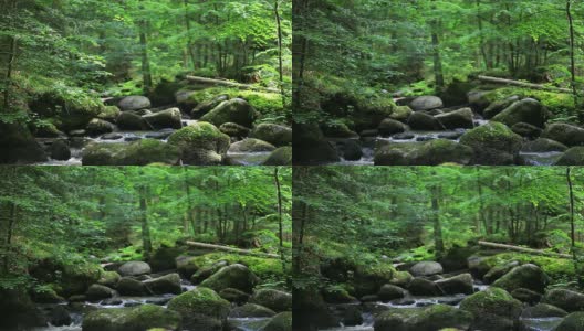 森林中的岩溪高清在线视频素材下载