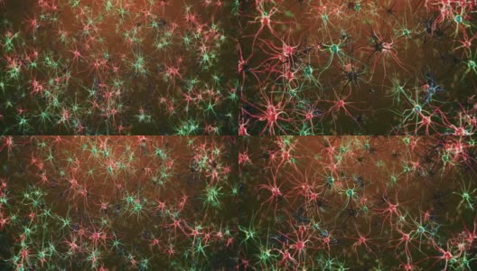 神经元细胞高清在线视频素材下载