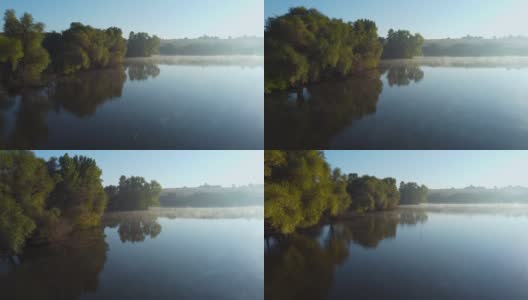 岸边有树的池塘，水面上有雾高清在线视频素材下载
