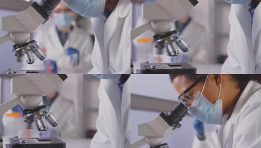 女性实验室工作人员或抽血师在实验室用显微镜分析血样的特写高清在线视频素材下载