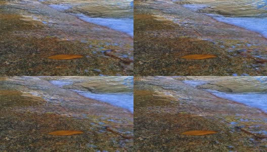 黄色的叶子在石头上湍急的水流中高清在线视频素材下载