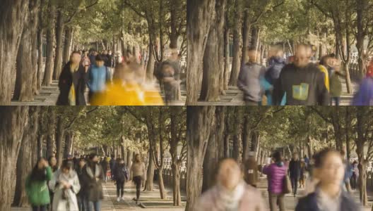 游客在北京颐和园的梧桐树下散步高清在线视频素材下载
