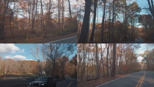 秋日驾车行驶在树林茂密的乡间小路上高清在线视频素材下载
