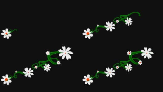 一株藤蔓生长着美丽的白色花朵的卡通载体。已经被键入，很容易添加到您的项目高清在线视频素材下载