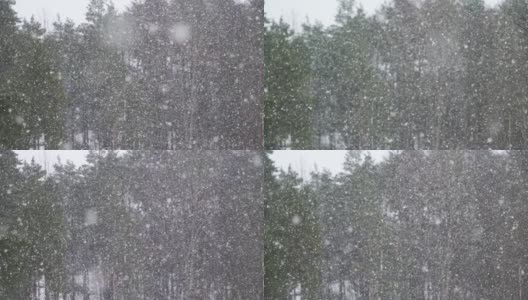 在一场暴风雪中，大量的雪花飘落下来。高清在线视频素材下载