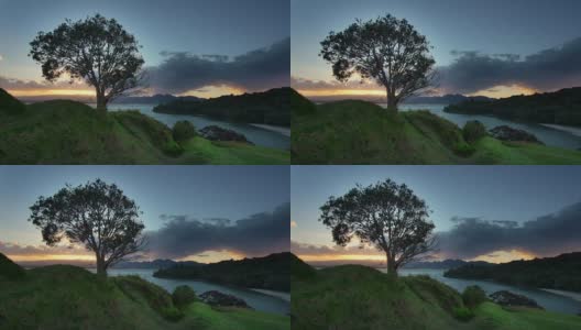 孤独的树在田园诗的风景高清在线视频素材下载