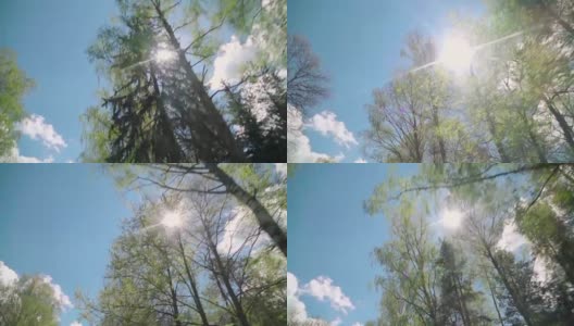 慢镜头:车窗外的森林高清在线视频素材下载