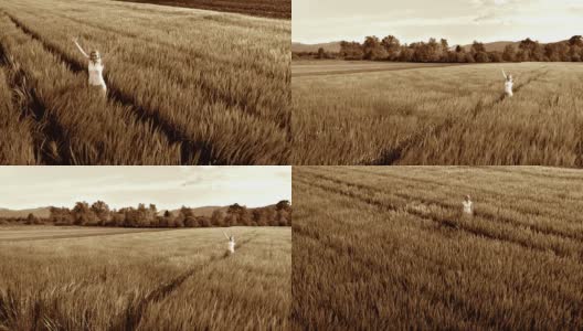 HD CRANE:小麦中的女人的肖像高清在线视频素材下载