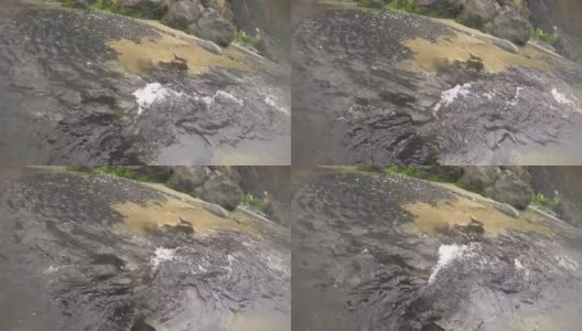 一股湍急的水流进湖里高清在线视频素材下载