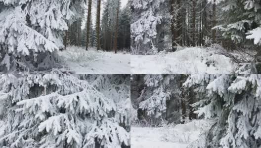 德国绍尔兰温特堡山区的森林雪景，广受欢迎的美丽旅游目的地高清在线视频素材下载