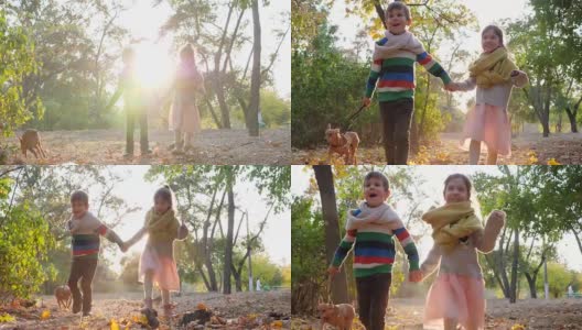 一个家伙用皮带牵着狗，和一个女孩在秋天公园的背光黄色树叶上奔跑高清在线视频素材下载