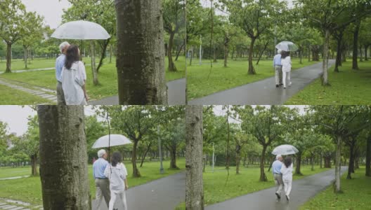 一对年老的亚洲夫妇在台北公园撑伞散步高清在线视频素材下载