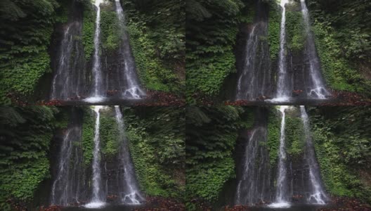 美丽的热带瀑布之间的绿色植物在巴厘岛，印度尼西亚高清在线视频素材下载