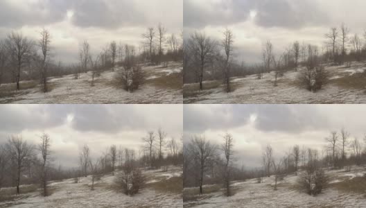 山顶上结霜的树木，4K航拍视频高清在线视频素材下载