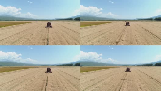 拍摄新疆田间收割的收割机高清在线视频素材下载