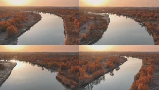 塔里木河流经塔克拉玛干沙漠，河两岸是胡杨林高清在线视频素材下载