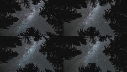 神奇美丽的银河光线在黑暗的森林自然，仰望宇宙天文学延时4K高清在线视频素材下载