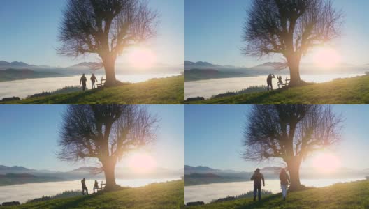 男人和女人夫妇一起在户外散步在自然的树木景观爬山看日落全景高清在线视频素材下载