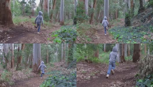 一个小男孩在茂密的森林里奔跑高清在线视频素材下载