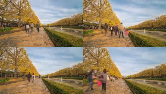 延时:行人拥挤的立川花园日本东京高清在线视频素材下载