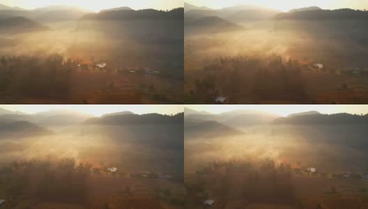 旱季农民农田鸟瞰图。清晨的美景。泰国那空，4K高清在线视频素材下载