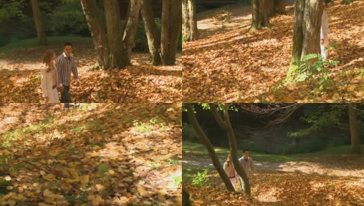 HD CRANE:秋天散步高清在线视频素材下载