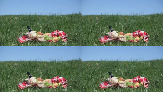 草地上的野餐篮高清在线视频素材下载
