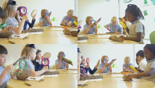 在科学课上，各种各样的私立学校的孩子们用放大镜研究自然高清在线视频素材下载