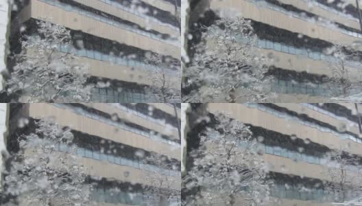 日本。1月。城市里下雪了。高清在线视频素材下载