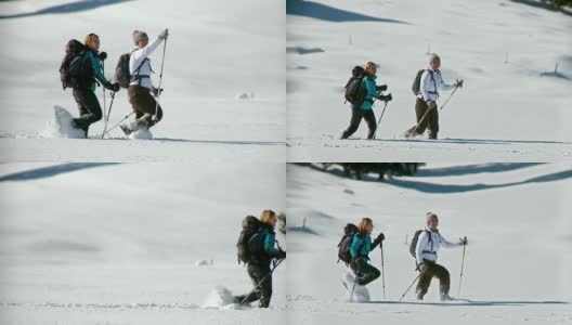 HD:冬季徒步旅行和穿雪鞋高清在线视频素材下载