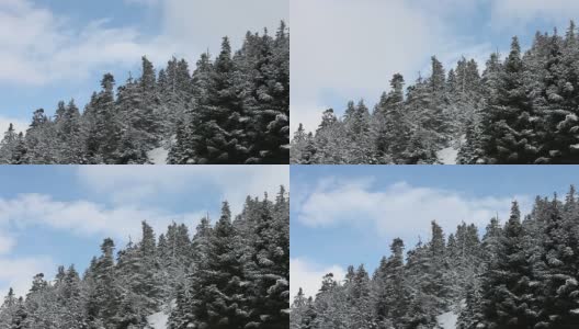 高清:冬季景观高清在线视频素材下载