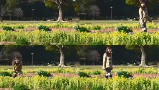 日本年轻女子走过许多美丽的黄花高清在线视频素材下载