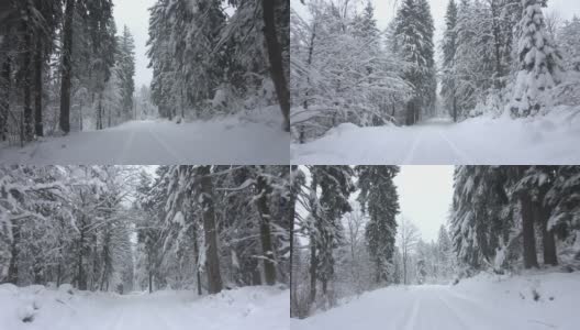 开车穿过积雪的森林高清在线视频素材下载