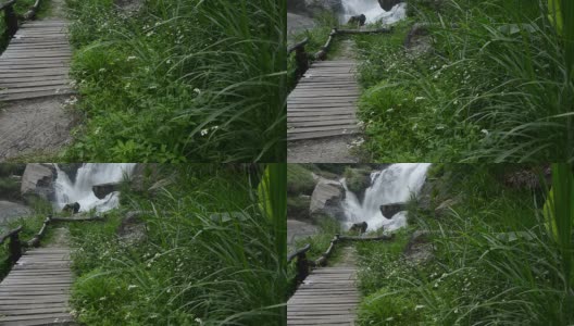 高清:雨林中的大瀑布高清在线视频素材下载
